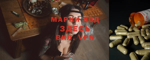 гашик Богданович