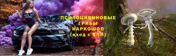 стаф Бугульма