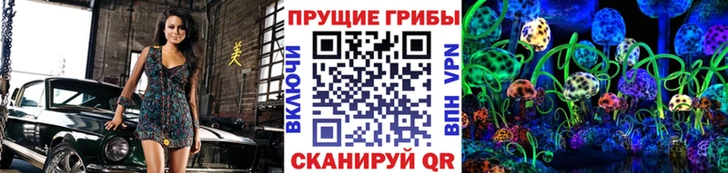 Галлюциногенные грибы Psilocybe  Межгорье 
